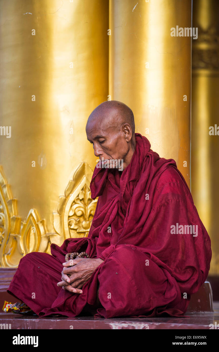 Monje budista en la oración, en la Pagoda de Shwedagon, Colina Singuttara, Rangún o Rangún, Yangon, Myanmar Región Foto de stock