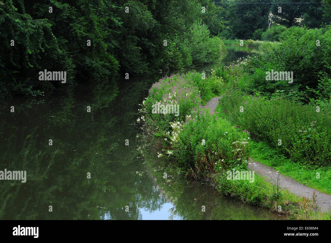 Basingstoke canal cerca de Dogmersfield UK Foto de stock