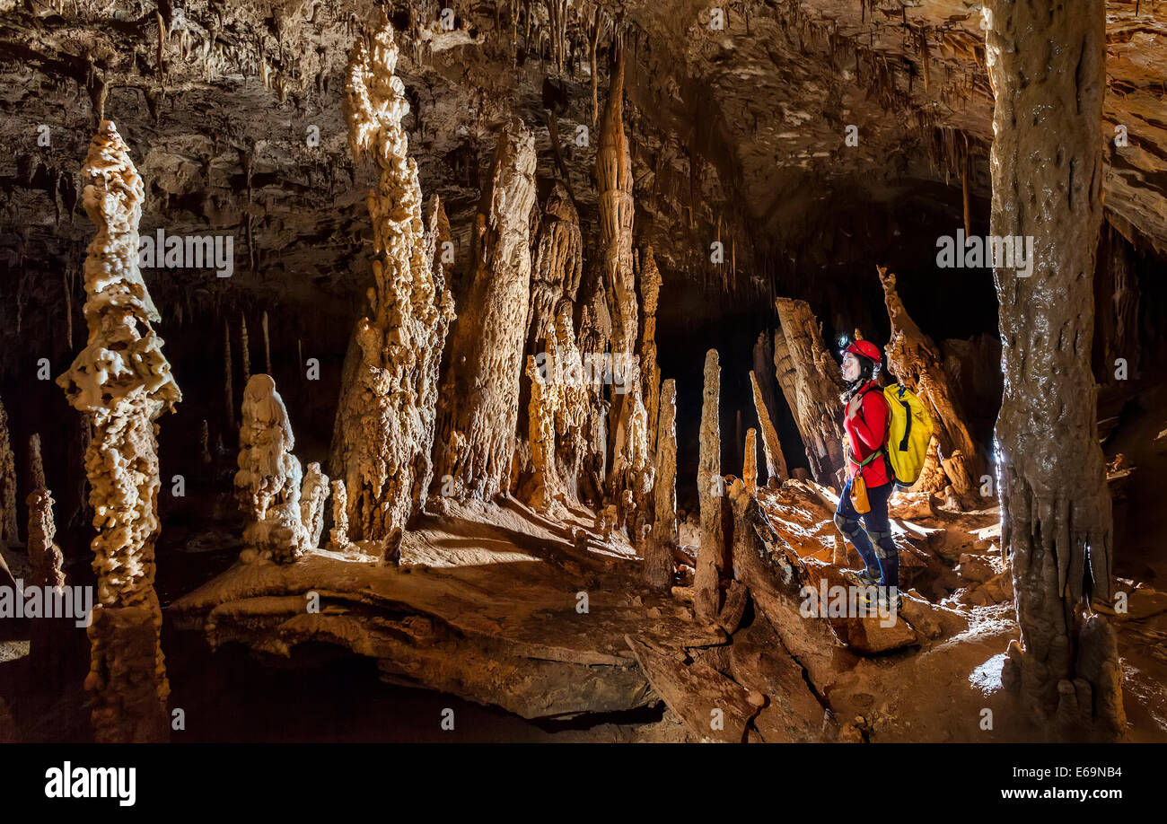 Estalagmitas en Cueva del bosque ebrio, el Parque Nacional de Gunung Mulu, Malasia Foto de stock