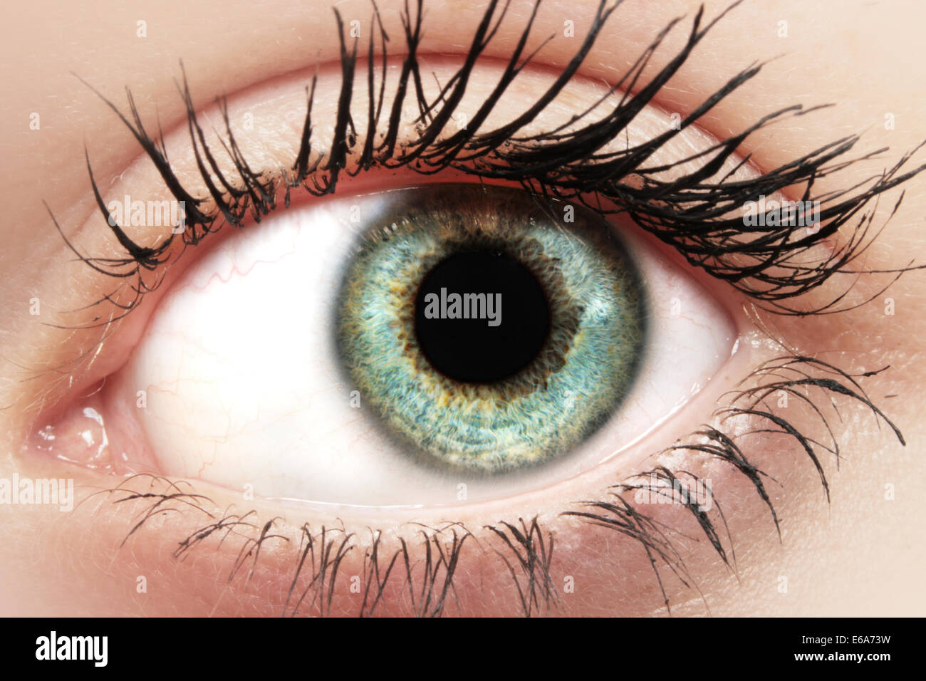 ojo, maquillaje Foto de stock