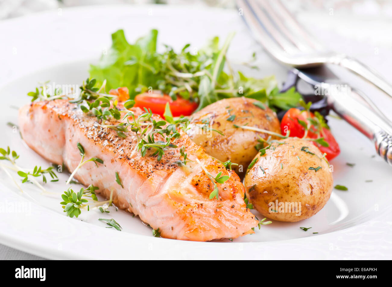Filete de salmón Foto de stock