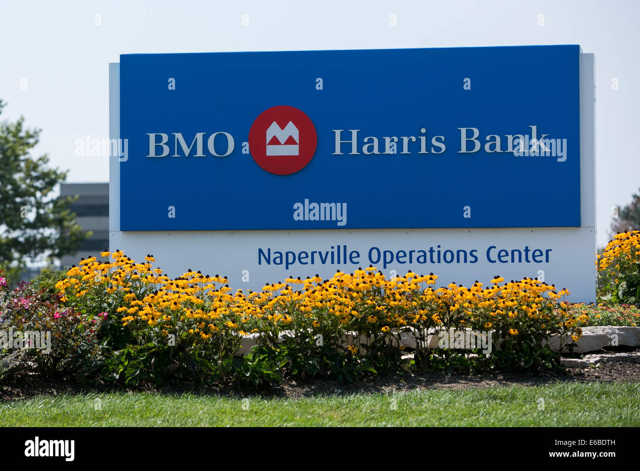 Un edificio de oficinas ocupadas por BMO Harris Bank en Naperville, Illinois. Foto de stock
