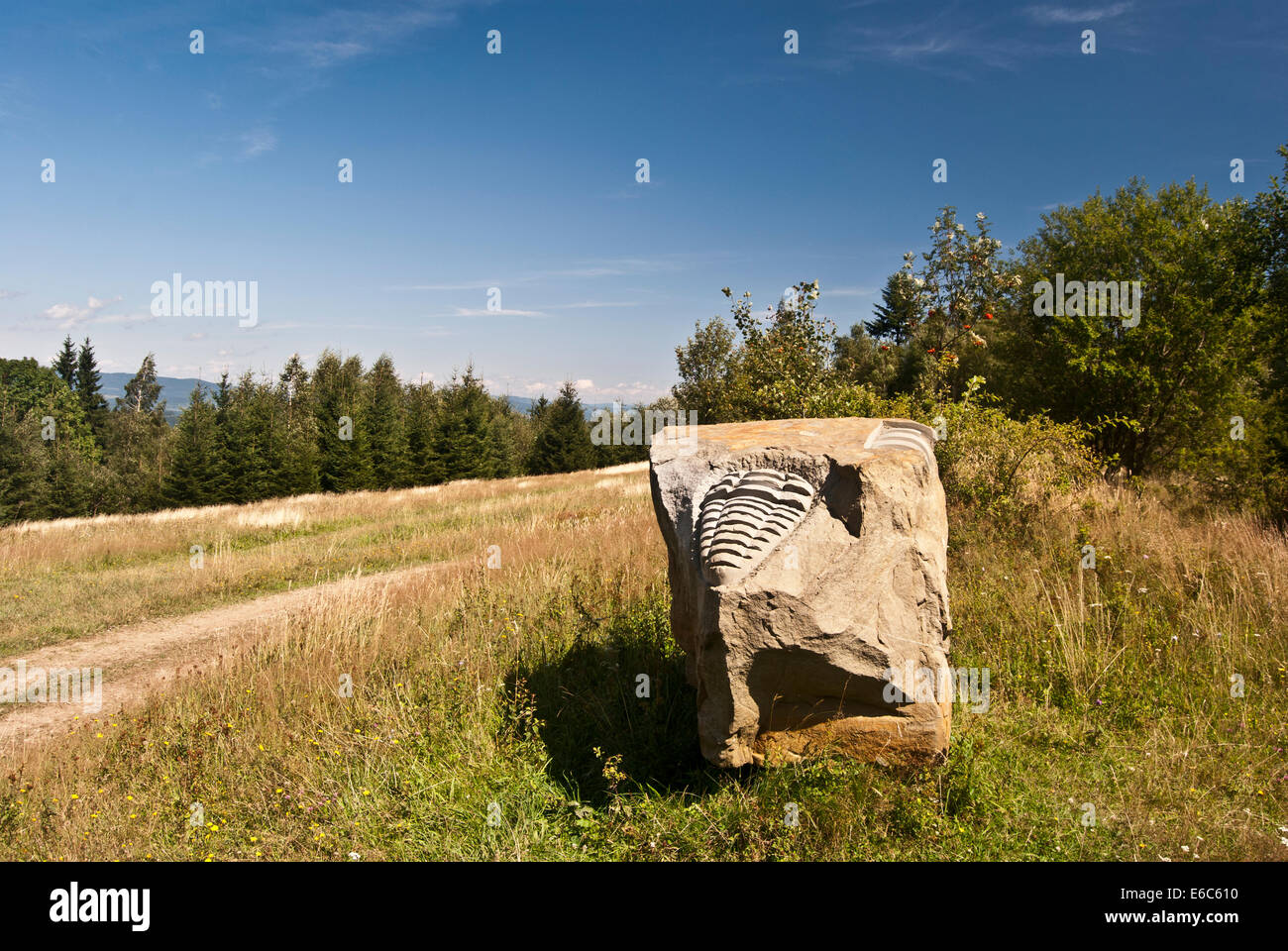 Pequeña escultura de piedra de trilobite en montańas Javorniky Foto de stock