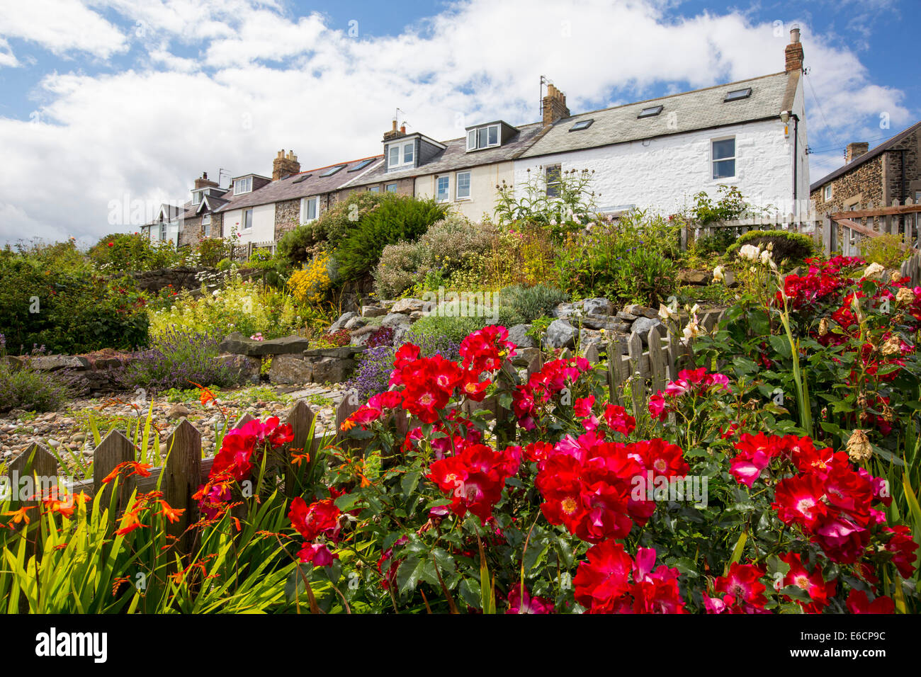 Cabañas frente al mar en Craster, Northumberland, Reino Unido. Foto de stock