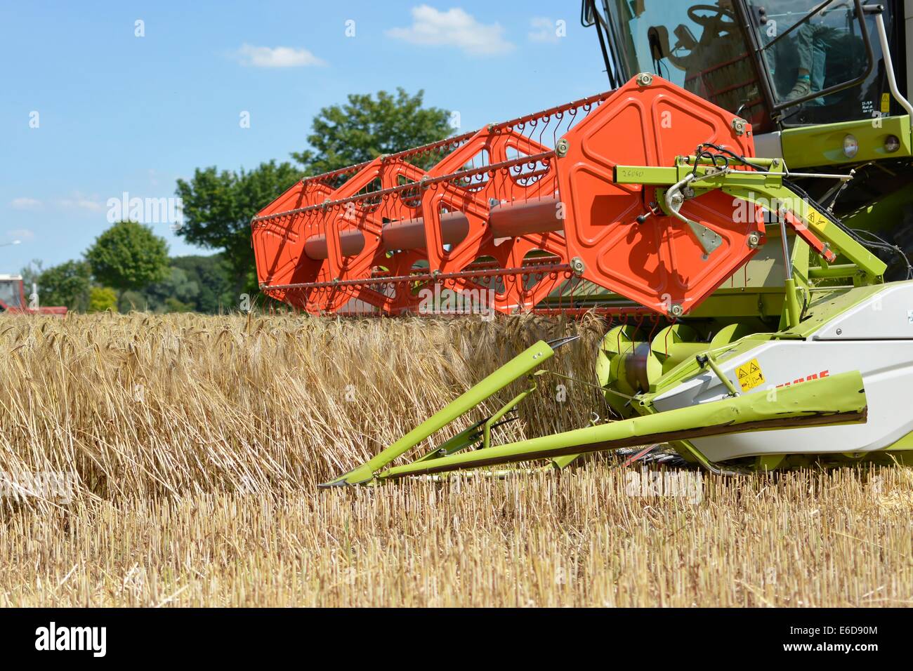 Alemania, en Renania del Norte-Westfalia, Petershagen, cosechadora cosecha de un campo de cebada Foto de stock