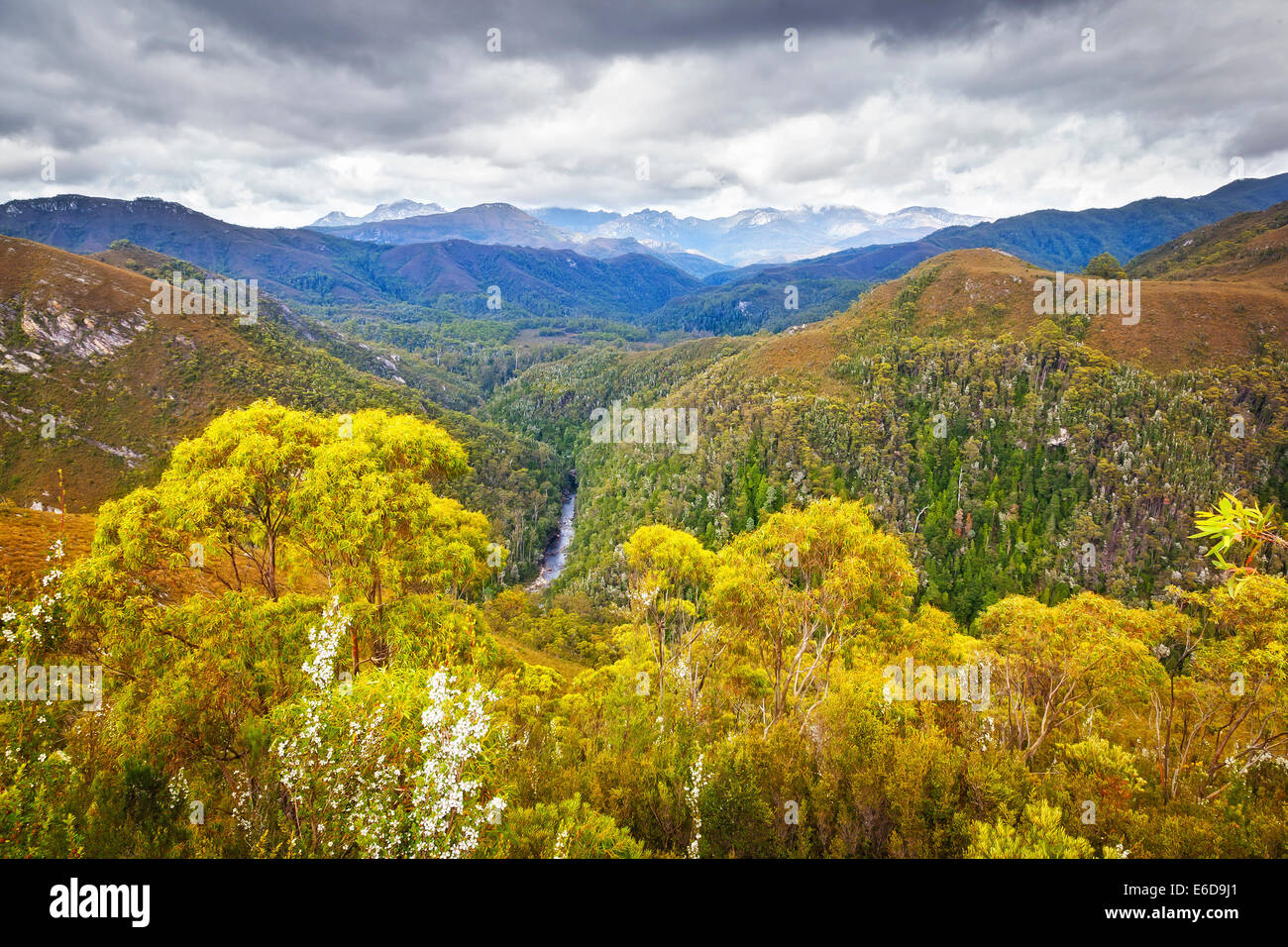 Franklin Gordon Wild Rivers National Park Tasmania Australia Foto de stock