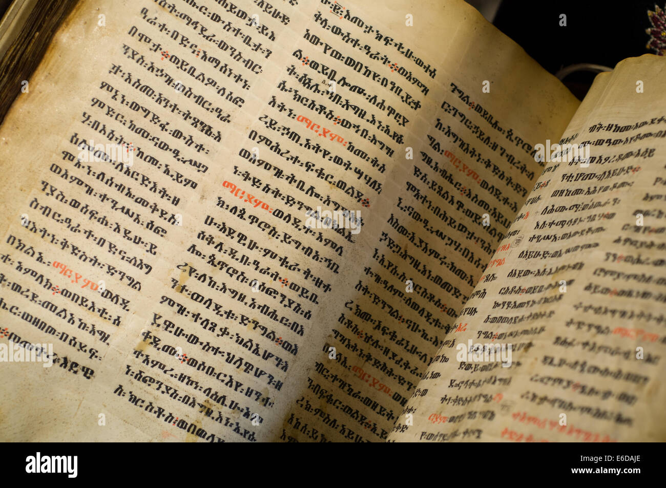 Biblia en mano: Del manuscrito al celular — Biblia y Tereré