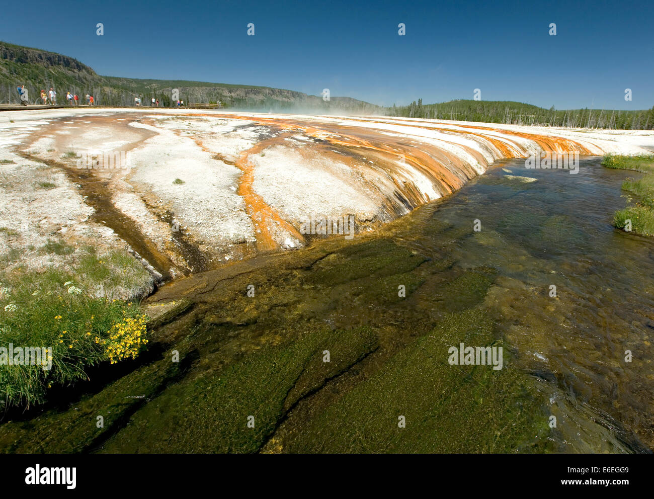 Banco Río en Midway geyser basin, el Parque Nacional Yellowstone, Wyoming, EE.UU. Foto de stock