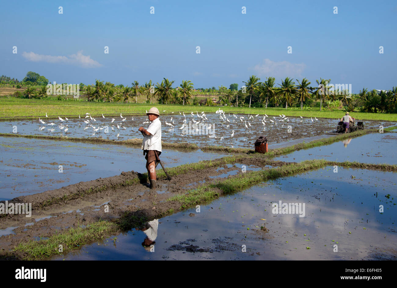 Agricultor con la azada en arrozales Keliki Bali Indonesia Foto de stock
