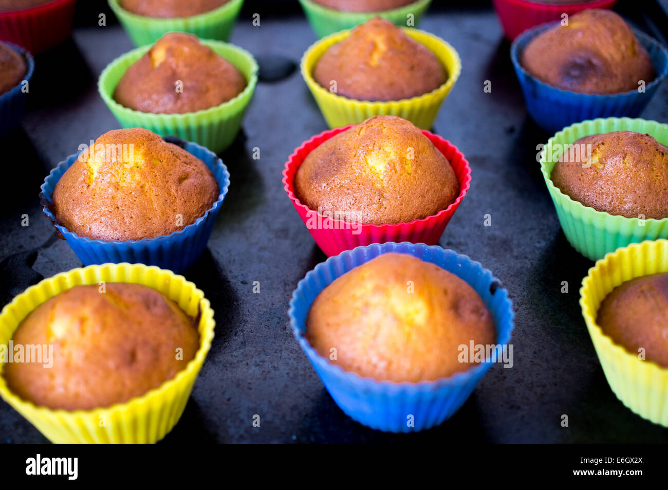 Muffins caseros en moldes de silicona en una bandeja para hornear  Fotografía de stock - Alamy