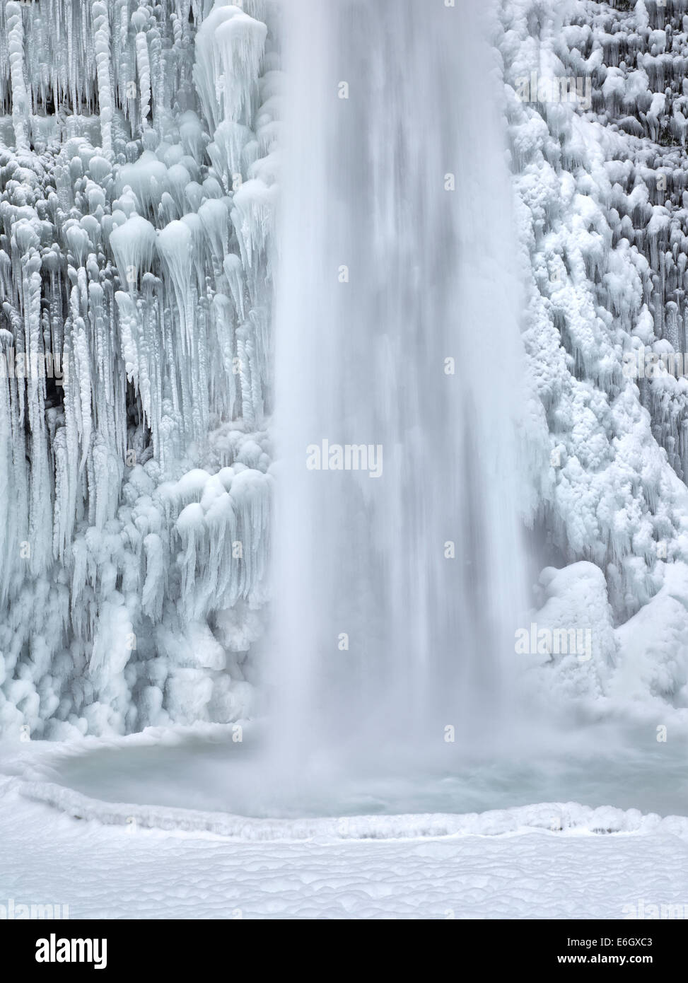 Cerca de Equiseto o cola de caballo cae con hielo y nieve. Columbia River Gorge National Scenic Area, Oregón Foto de stock