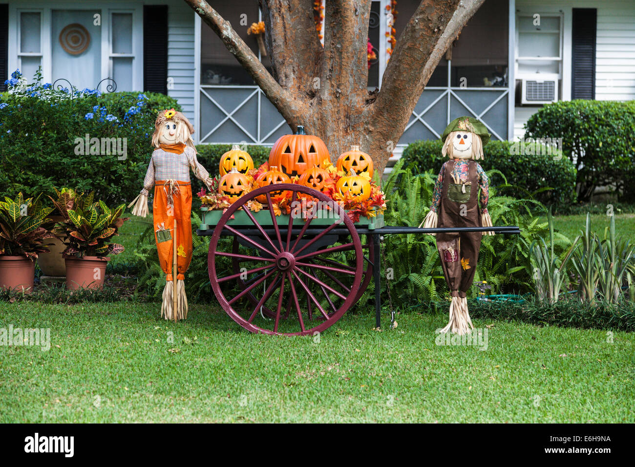 Pantalla de Halloween de calabaza jack-o-lanterns y espantapájaros en el césped delantero de una casa Foto de stock