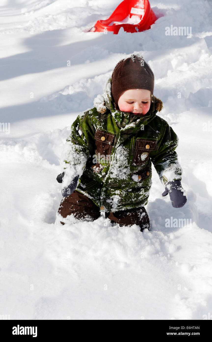 Un niño de dos años vagando a través de la profundidad de la nieve en invierno en Quebec Foto de stock