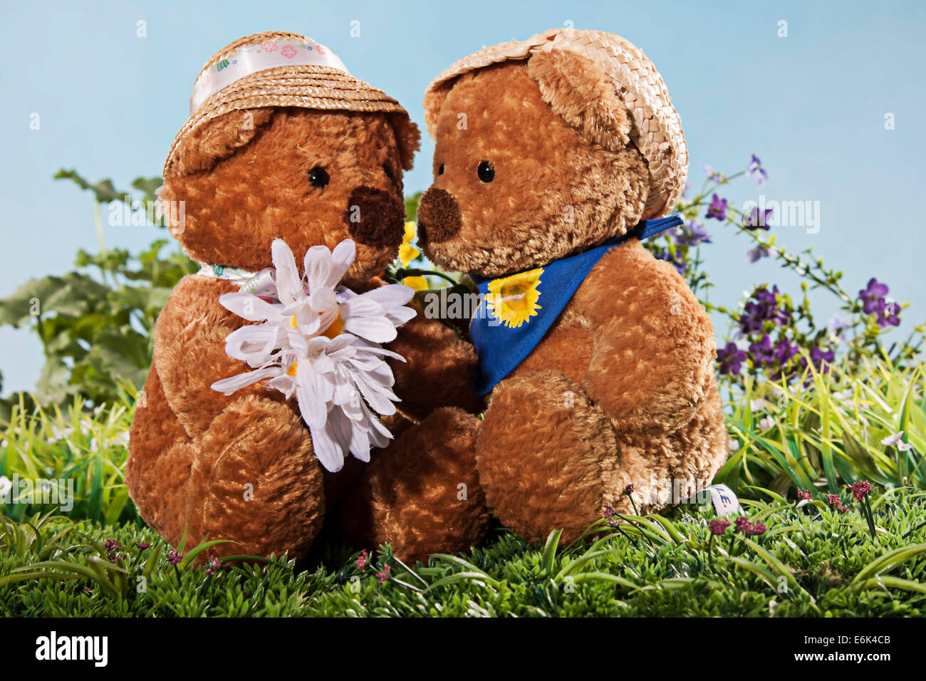 Osos enamorados fotografías e imágenes de alta resolución - Alamy Osos enamorados fotografías e imágenes de alta resolución - Alamy