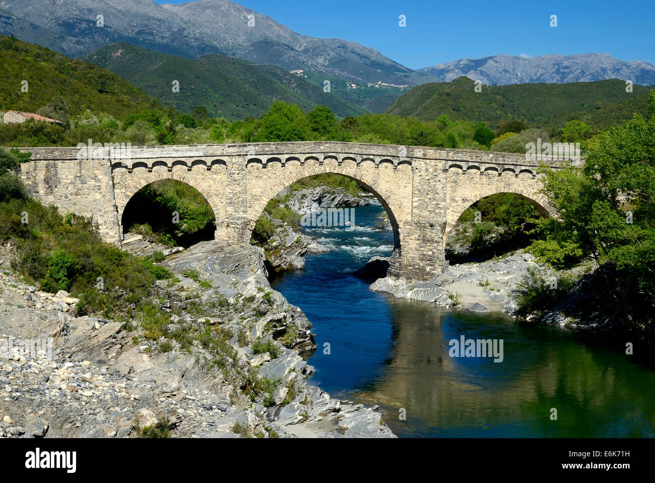 Los genoveses puente sobre el río Tavignano, cerca de Altiani, Département Haute-Corse, Córcega, Francia Foto de stock