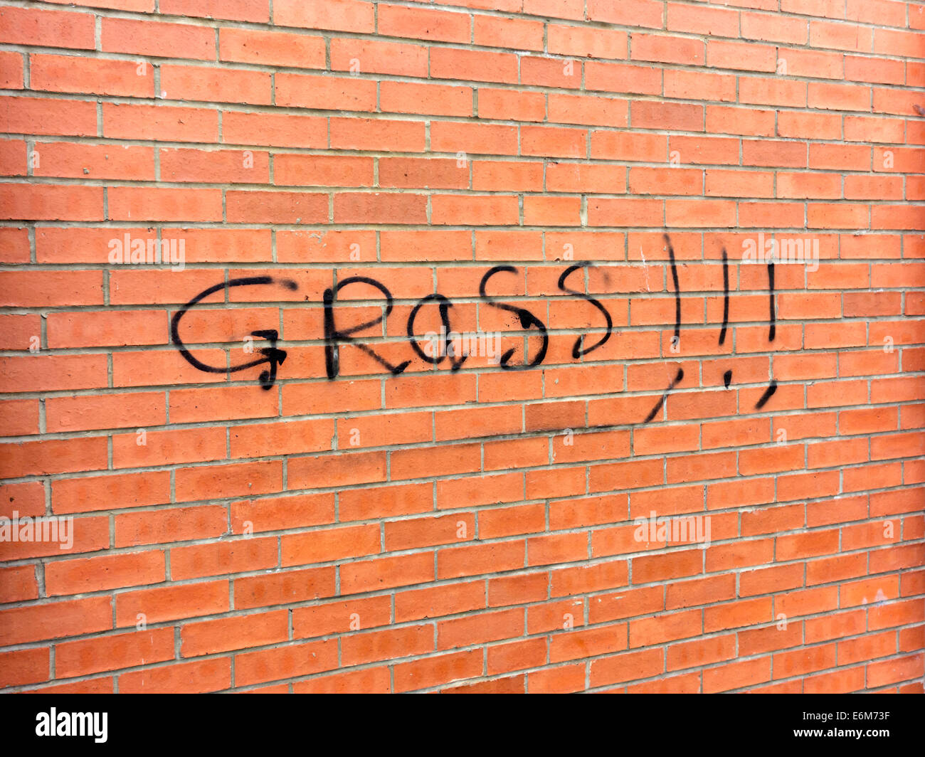 Graffiti en casa leyendo hierba!!!, lo que significa que el habitante es supuestamente un informador de la policía Foto de stock