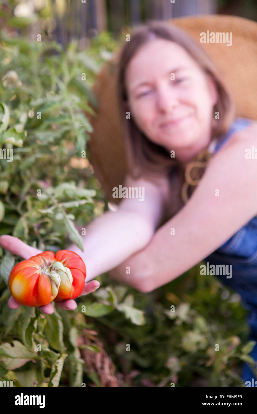 Vista cercana de la mujer sosteniendo el tomate Foto de stock