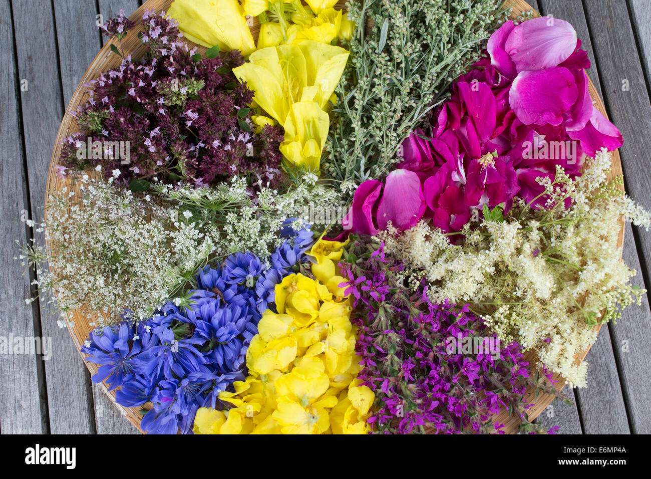 Blütenteller, Blüten, Blumen, Kräuter, Kräuter sammeln, Kräuterernte, Blütenblätter auf einem Teller sortiert zum Trocknen, essb Foto de stock