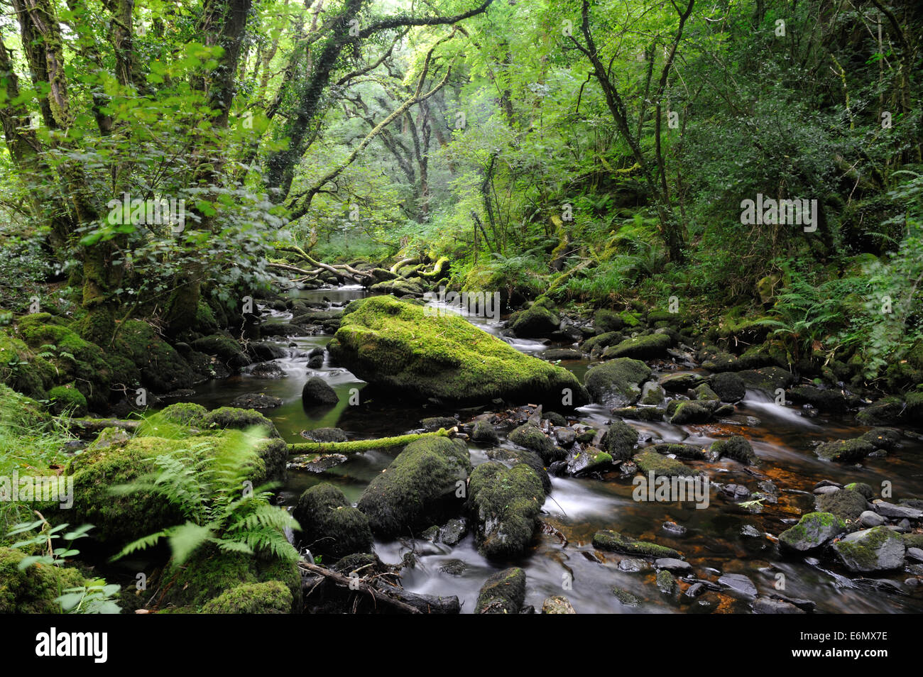 Afon brynberian fotografías e imágenes de alta resolución Alamy