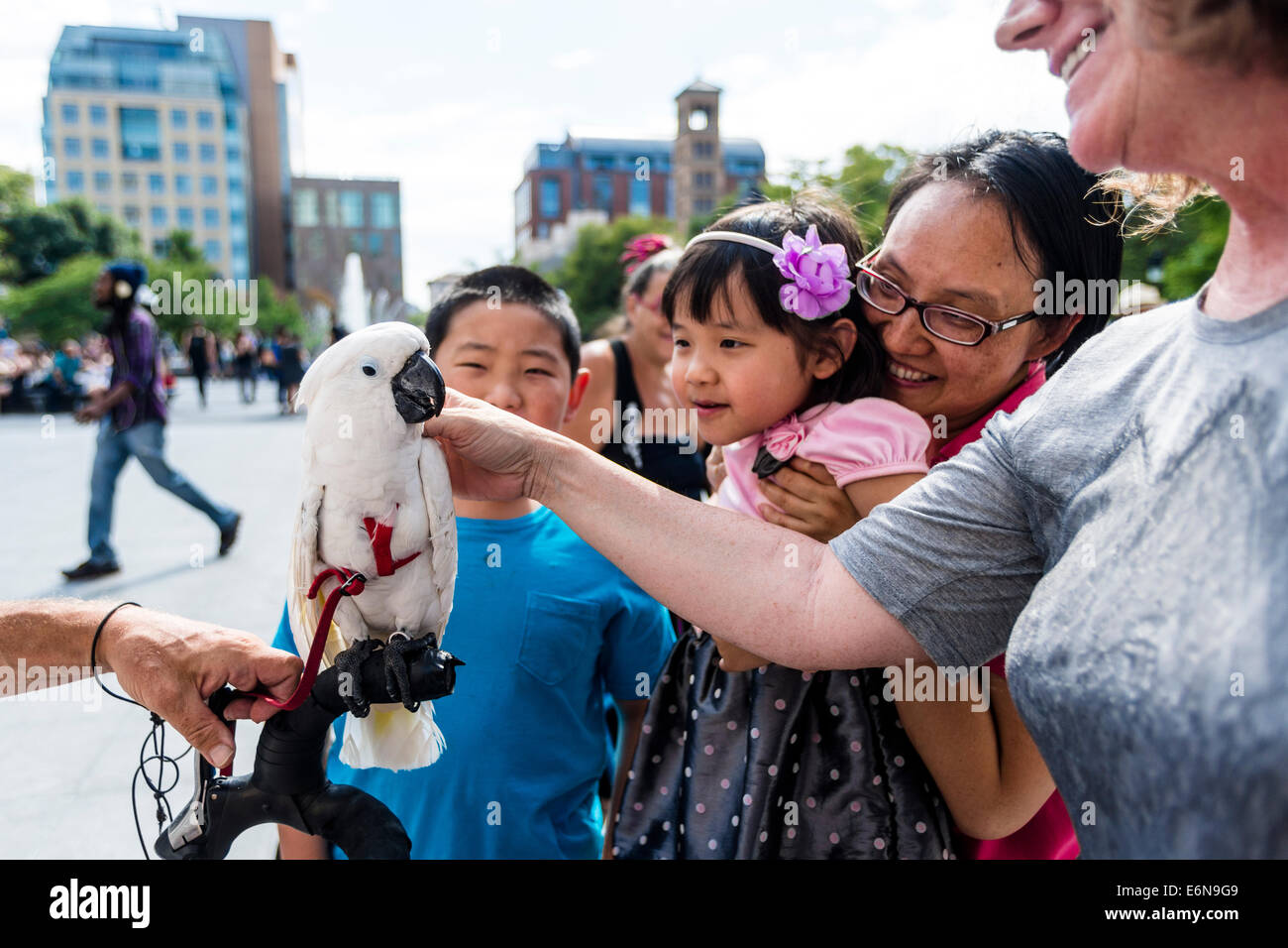 New York, NY - 24 Aug 2014 - Niños befriend blanco loro hablando en Washington Square Park. Foto de stock
