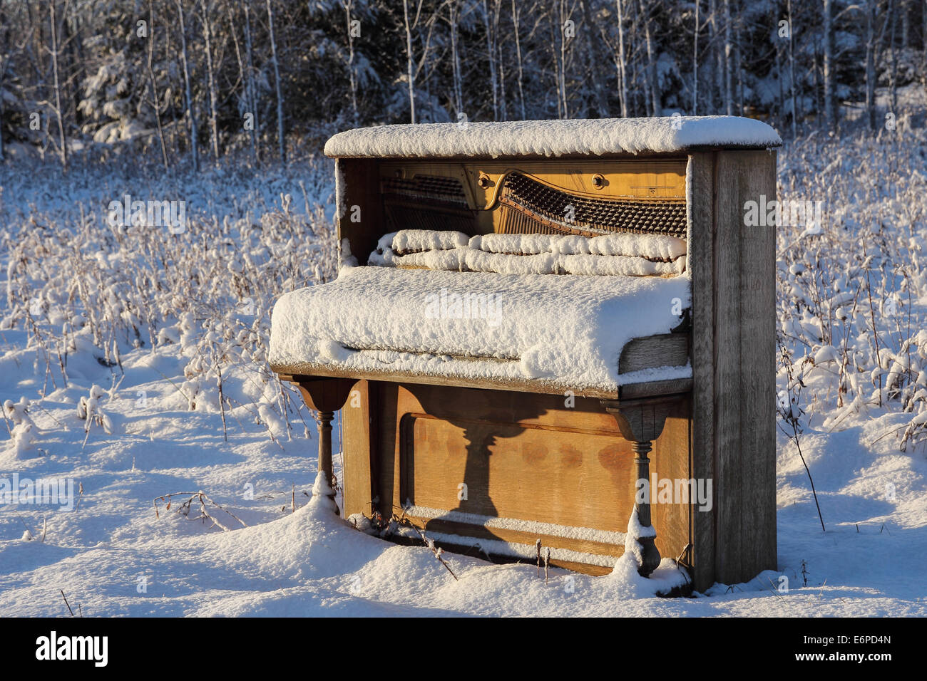 Piano vertical que ha sido abandonado en un campo nevado de invierno /  pradera Fotografía de stock - Alamy