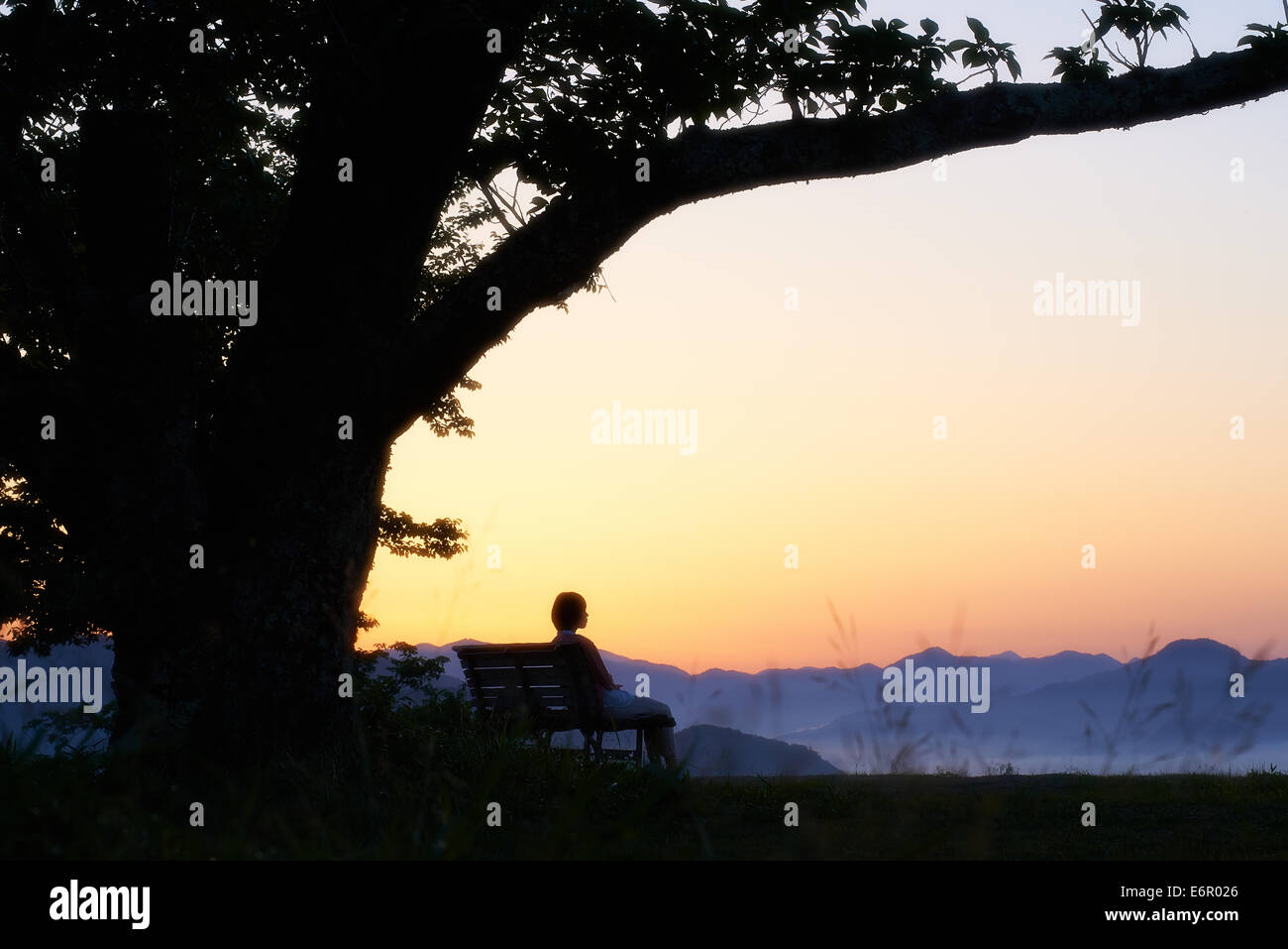 Jovencita japonesa sentada en un banco en el campo Foto de stock