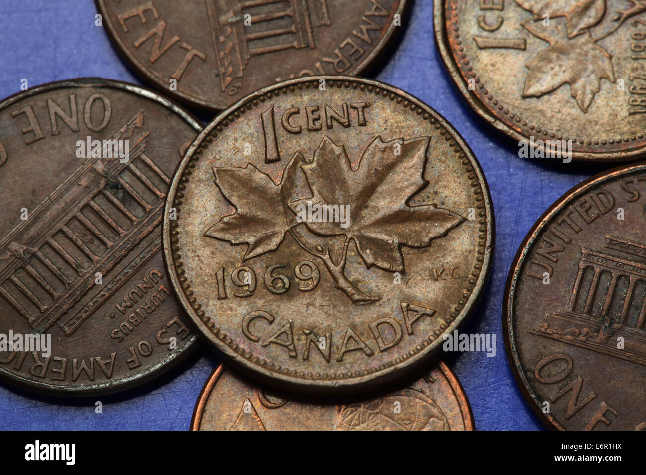 Monedas de Canadá. Hojas de arce canadiense representado en la moneda de un centavo. Foto de stock
