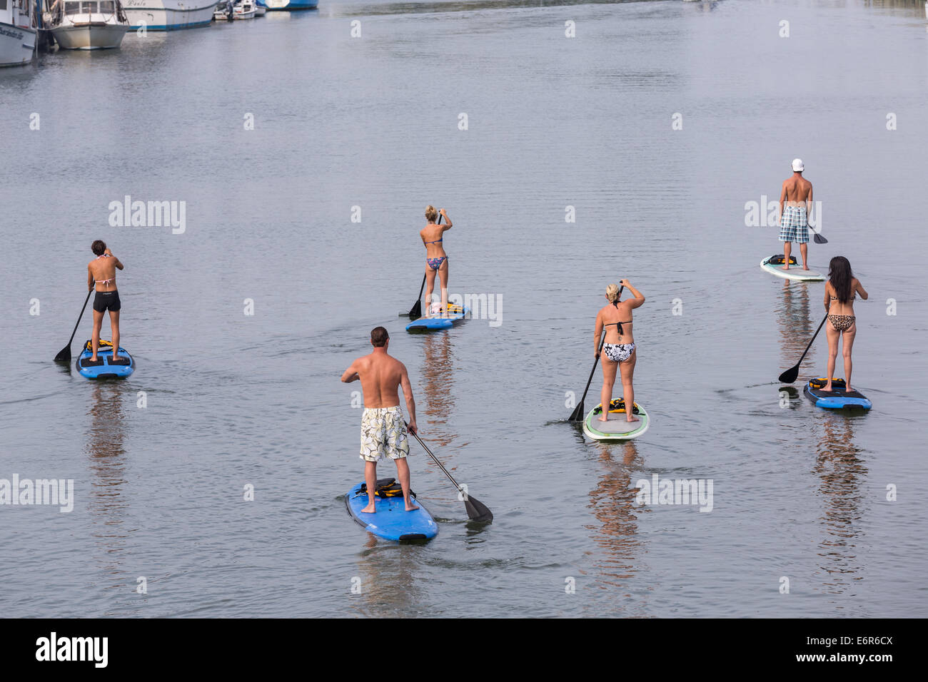 La gente usa el Stand Up Paddle boards en Shem Creek en Mt Pleasant, SC. Foto de stock