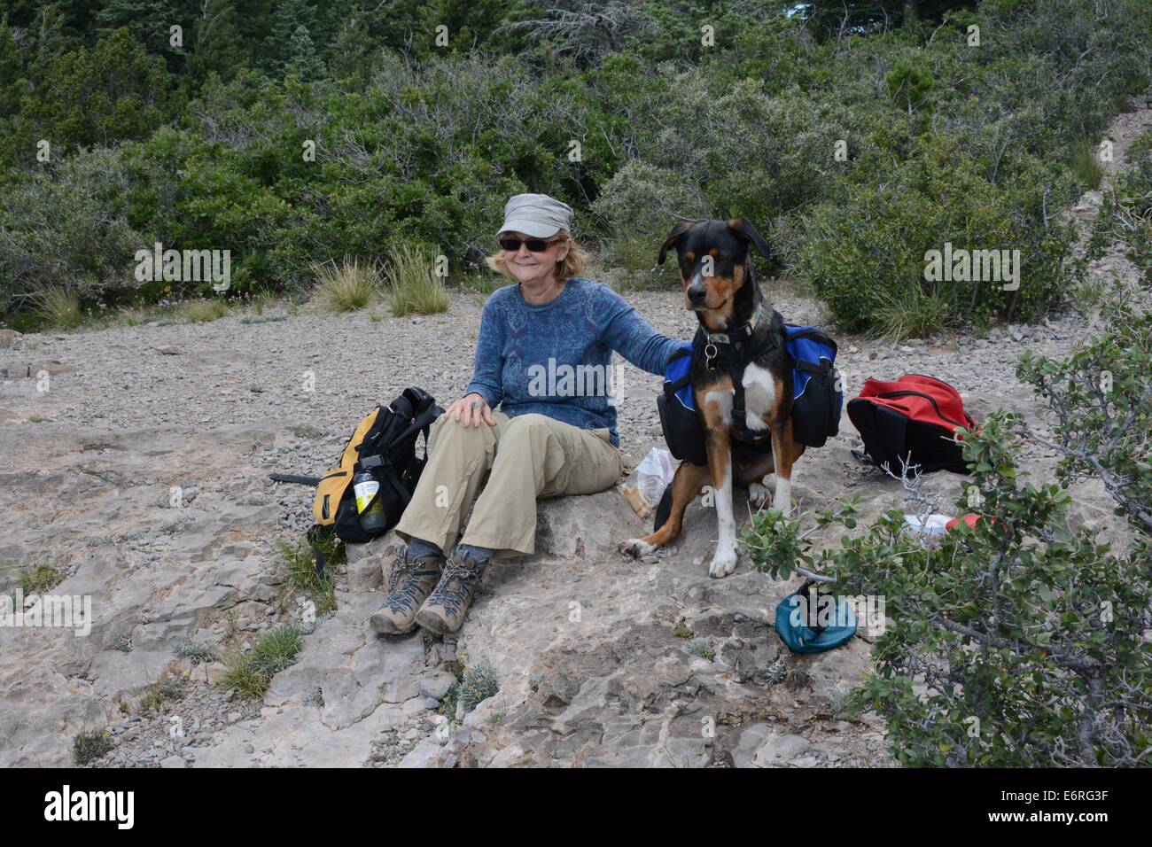 Senior Citizen y mi perro Lucas en la parte superior del árbol Trail Primavera en montaña Sandia de NM -EE.UU. Foto de stock