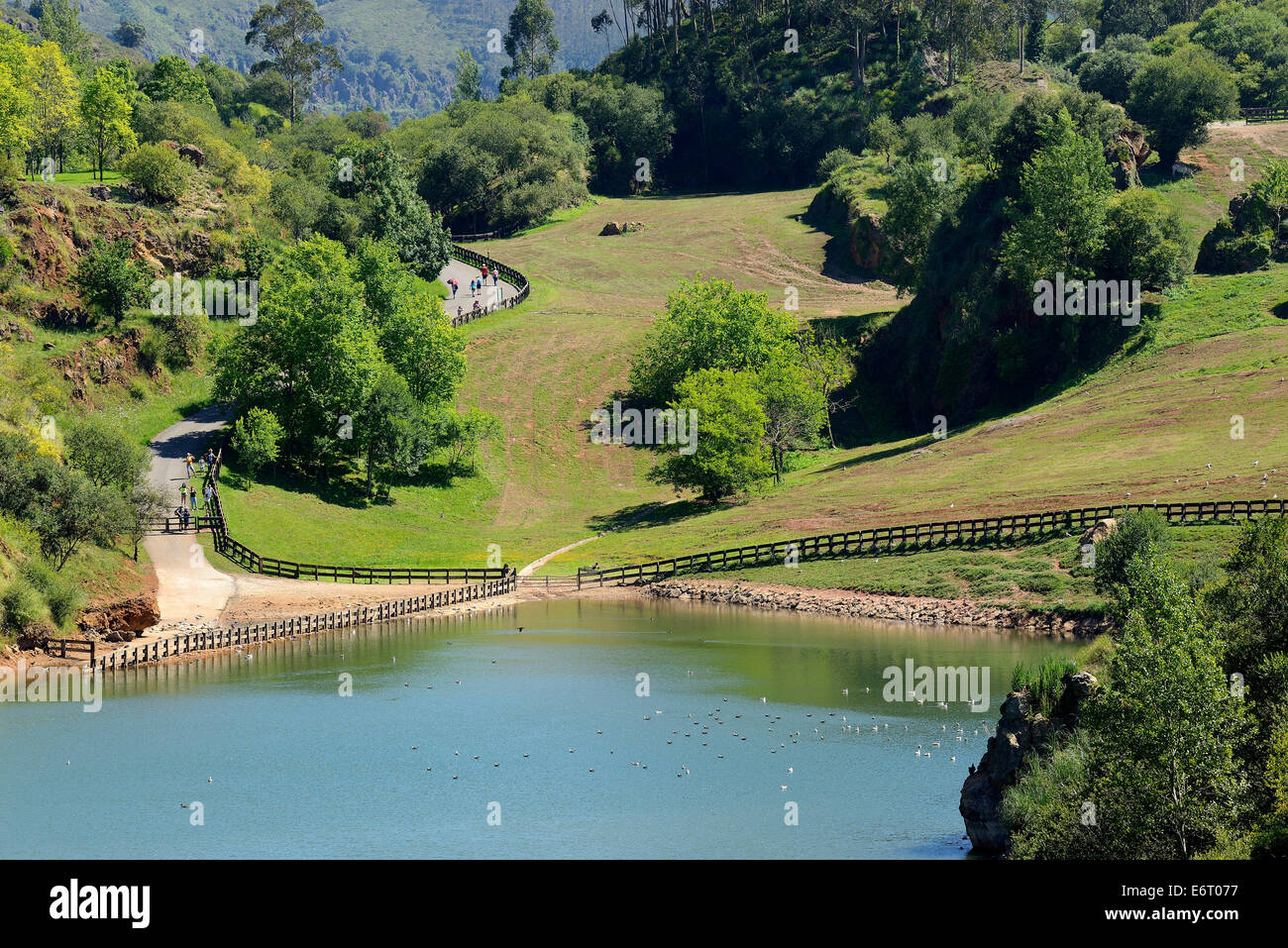 Lago con aves en el parque natural de Cabarceno, Cantabria, España, Europa Foto de stock