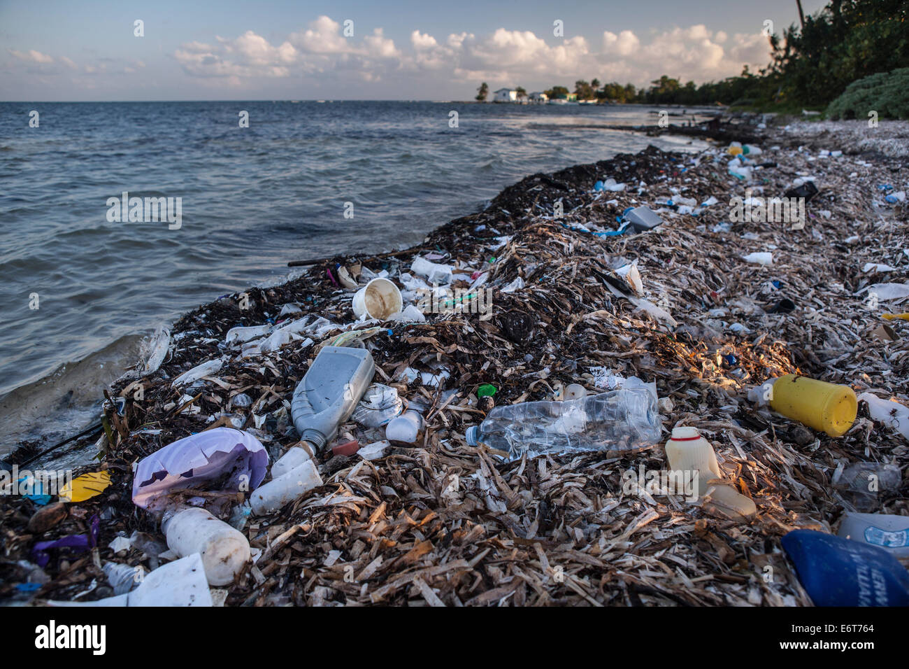 Los residuos plásticos se lavan en la orilla, Turneffe Atoll, Caribe, Belice Foto de stock
