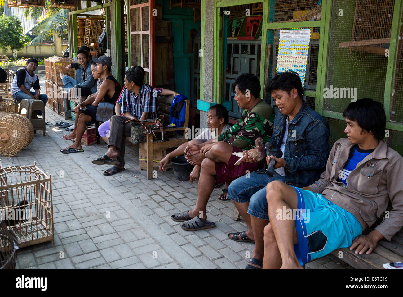 Yogyakarta, Java, Indonesia. El javanés hombres descansando y hablando en el mercado de pájaros. Foto de stock