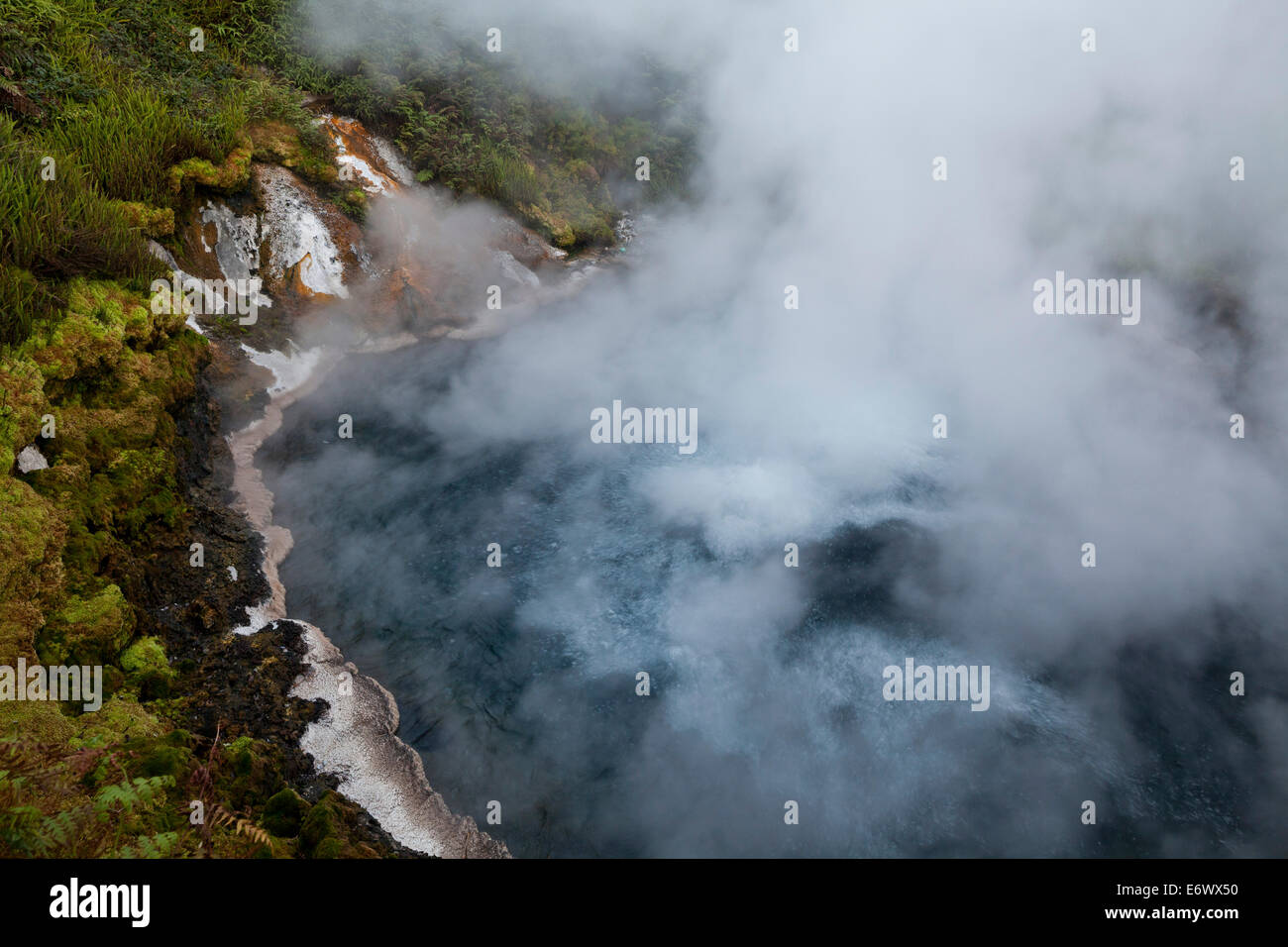 Manantiales de agua caliente y el vapor de las termas, Valle Waikite piscinas termales, Rotorua, Isla del Norte, Nueva Zelanda Foto de stock