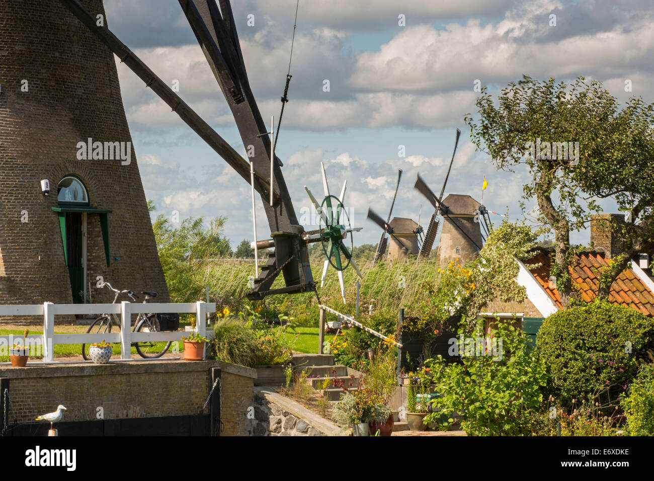 Países Bajos, Kinderdijk, molinos de viento en Alblasserwaard pólder, sitio del Patrimonio Mundial de la Unesco Foto de stock