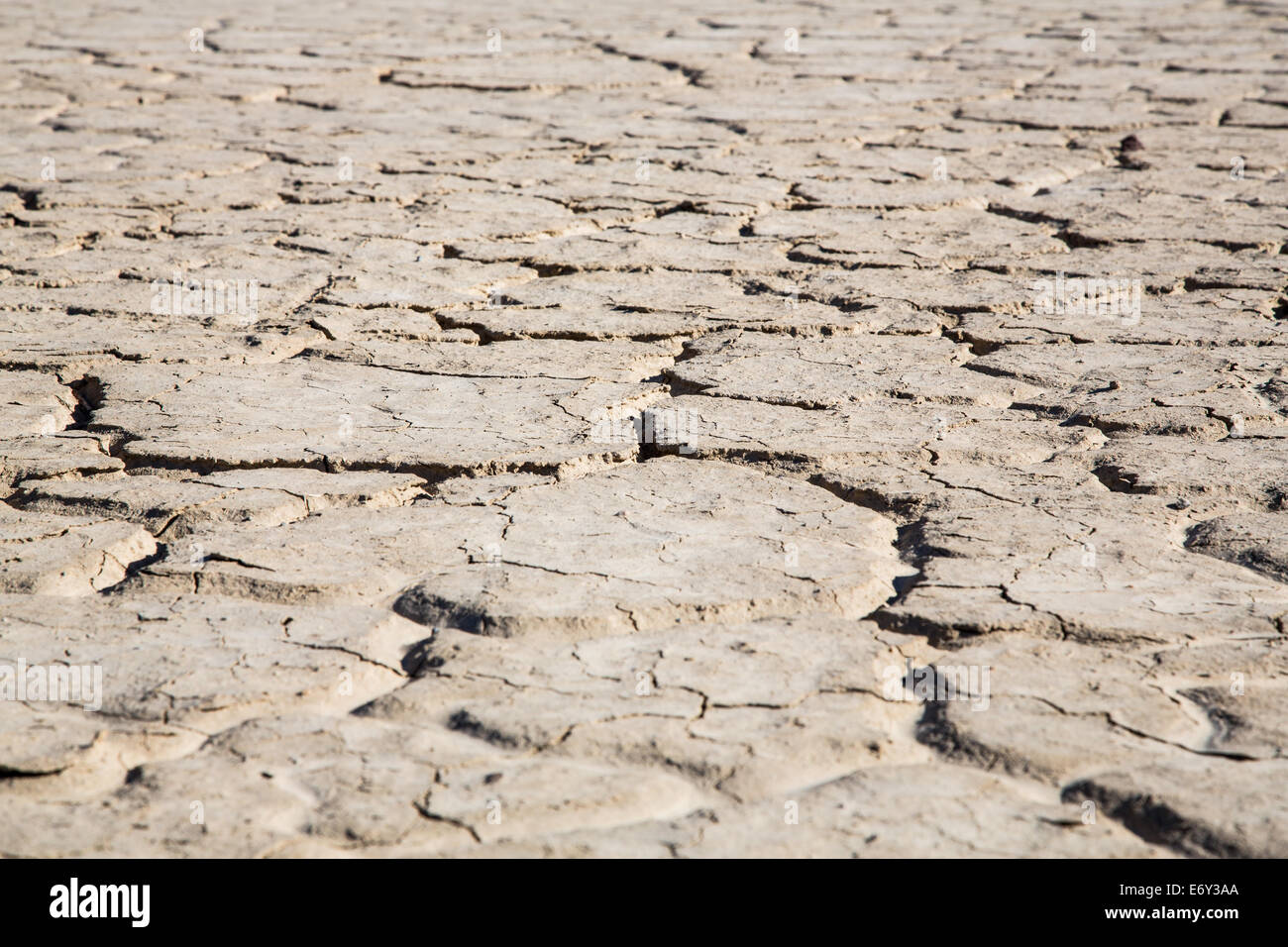 El barro agrietado en el piso de un valle en el Parque Nacional Valle de la muerte. California, EE.UU. Foto de stock