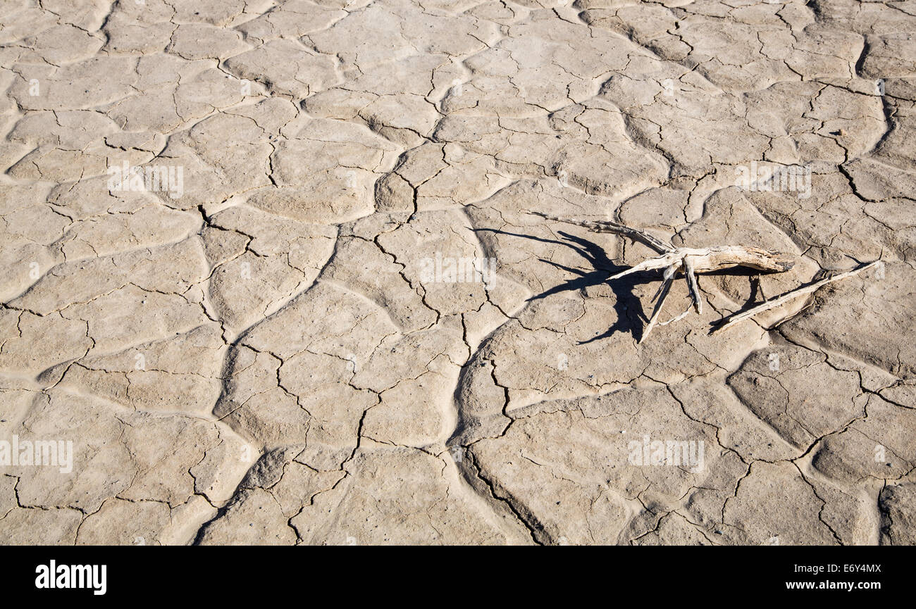 El barro agrietado en el piso de un valle en el Parque Nacional Valle de la muerte. California, EE.UU. Foto de stock