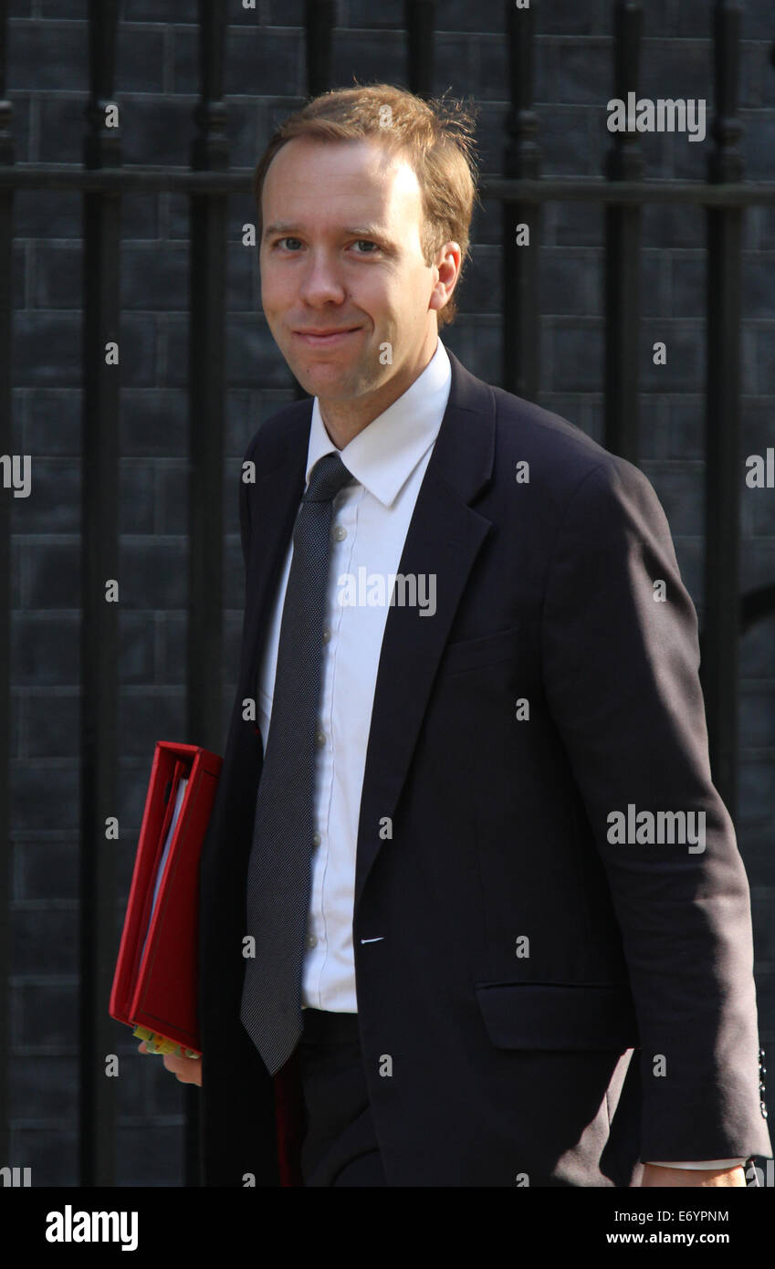 Londres, Reino Unido, 2 de septiembre de 2014: Matt Hancock visto en Downing Street en Londres, Reino Unido. Foto de stock