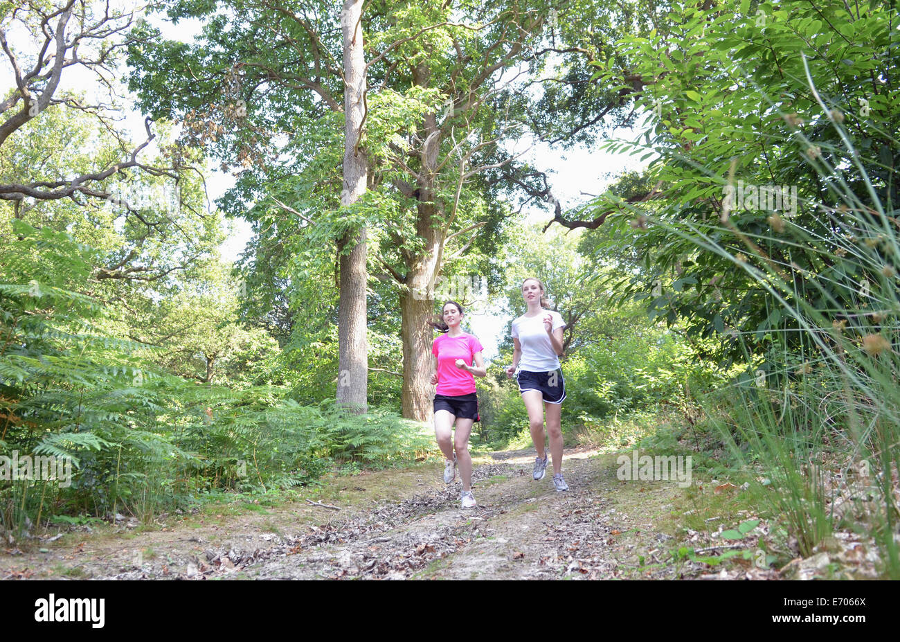 Dos mujeres jóvenes corredores corriendo por pista forestal Foto de stock