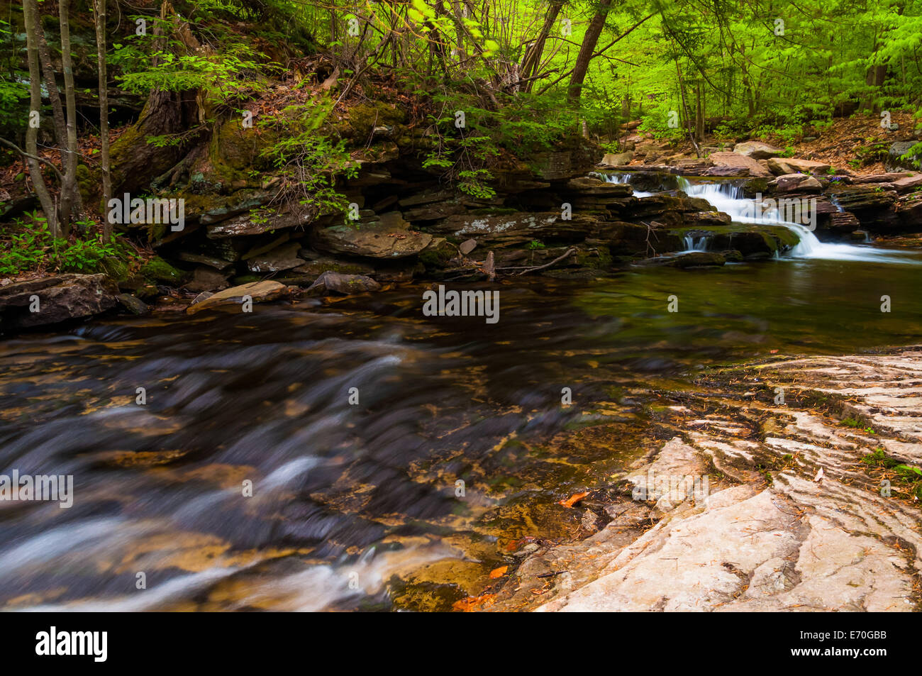 Ricketts Stream en Glen State Park, Pennsylvania. Foto de stock