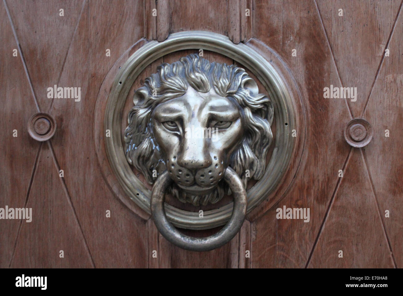 Empuñadura de puerta bronceada rojo en forma de león Foto de stock