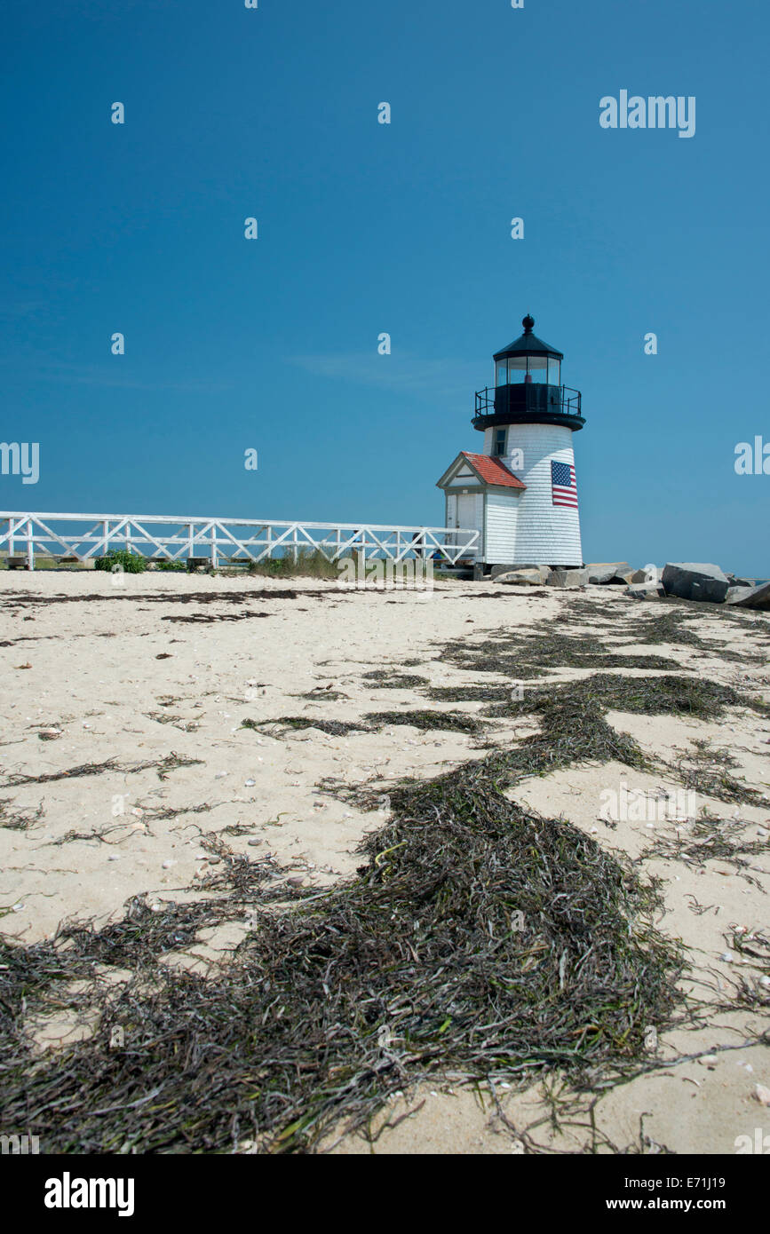 Nantucket, Massachusetts, EE.UU. Cubiertas de algas marinas playa enfrente de Brant Point faro, la segunda más antigua en los Estados Unidos. Foto de stock