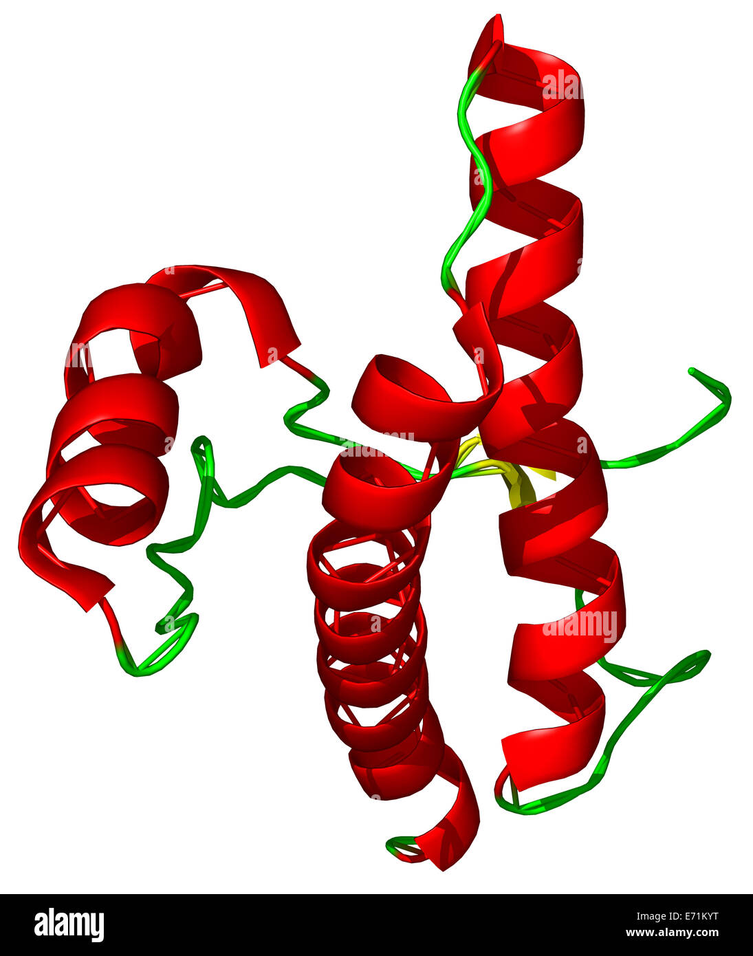 La proteína prion (PrP) es una glicoproteína de la superficie celular. Las enfermedades priónicas ocuring naturalmente incluyen la enfermedad de Creutzfeldt-Jakob Foto de stock