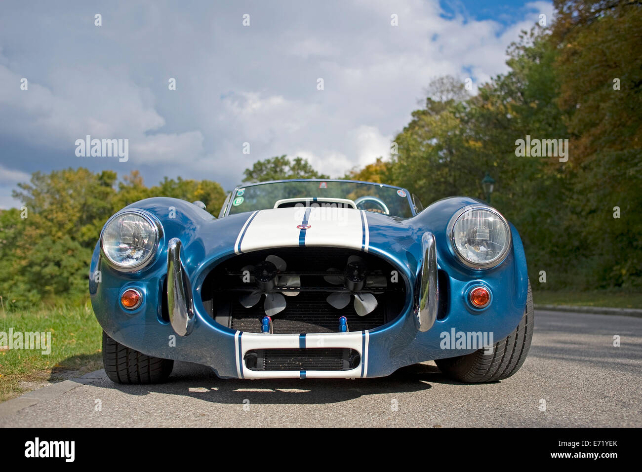 Shelby Cobra 427 Replica Fotografia De Stock Alamy