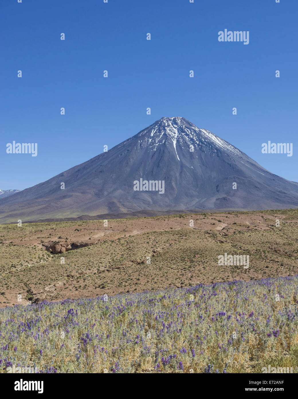 El volcán Licancabur, san pedro de Atacama, Región de Antofagasta, Chile  Fotografía de stock - Alamy