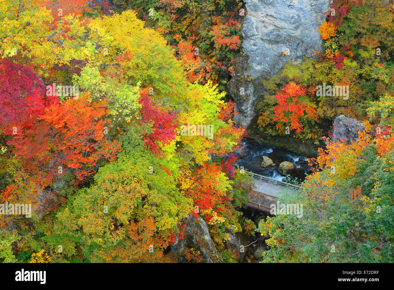 Naruko canyon en otoño, Miyagi, Japón Foto de stock
