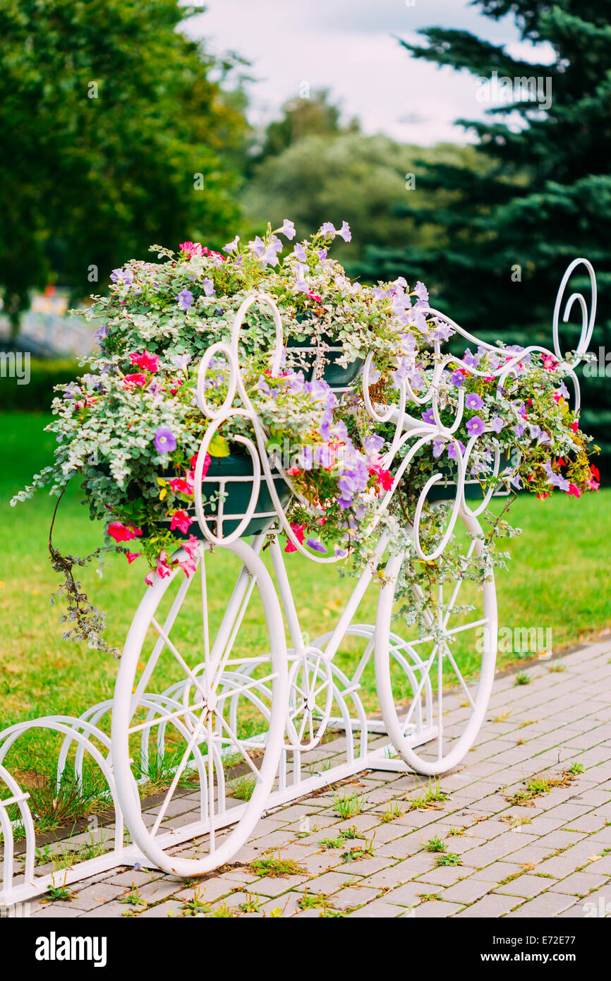 Modelo Vintage decorativos de vieja bicicleta equipada con Cesta de Flores.  Foto de tonos. Aparcamiento para bicicletas blancas con flores en la cama  Summ Fotografía de stock - Alamy