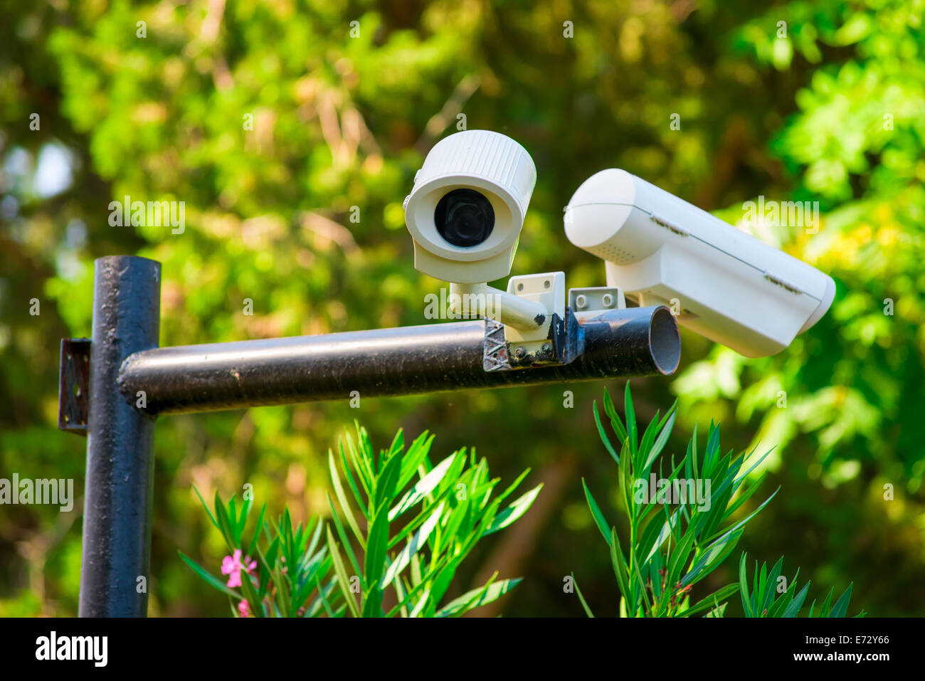 Dos cámaras de vigilancia en el parque de la ciudad Foto de stock