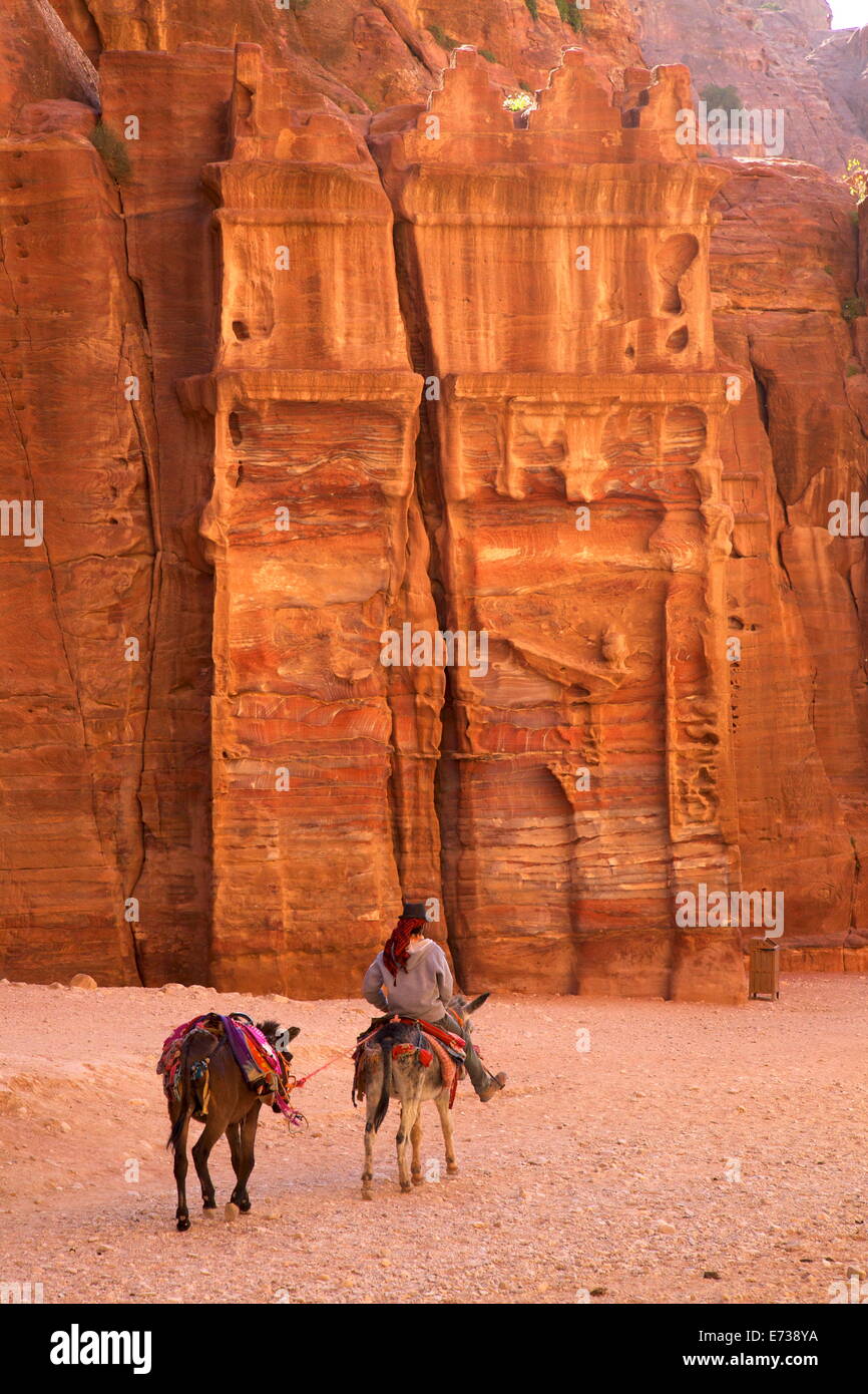 Los beduinos caballo burro en el Siq, Petra, Sitio del Patrimonio Mundial de la UNESCO, Jordania, Oriente Medio Foto de stock