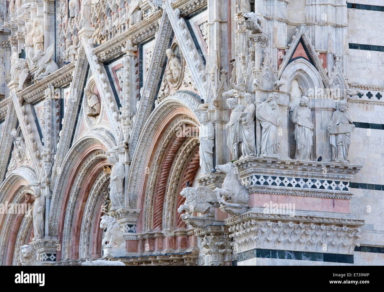 Escultura ornamental en la fachada de la Catedral de Santa Maria Assunta, Sitio del Patrimonio Mundial de la UNESCO, Siena, Toscana, Italia, Europa Foto de stock