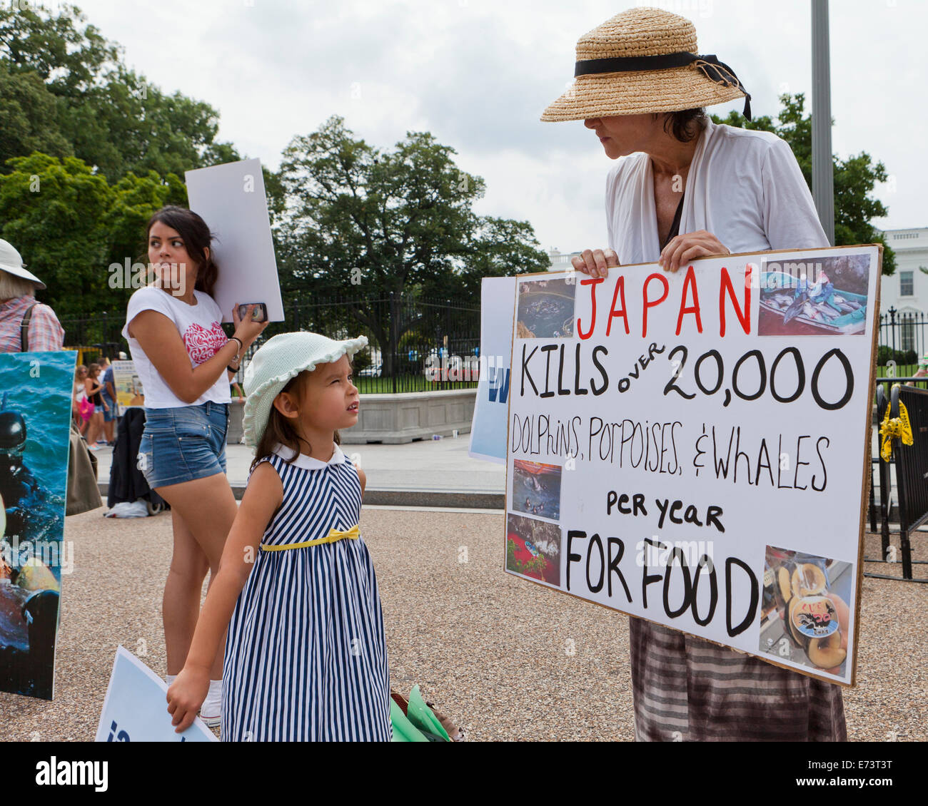 Miembros de PETA protestan en frente de la Casa Blanca contra japoneses pescar delfines - Washington, DC, EE.UU. Foto de stock
